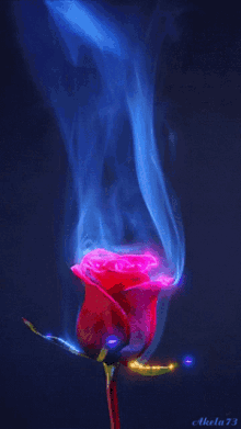 Rose Power GIF