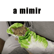 A Mimir Sleep GIF - A Mimir Sleep Cute GIFs