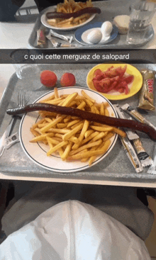 a plate of french fries and a sausage on a tray with the words cquoi cette merguez de salopard
