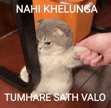 Nahi Khelunga Tumahare Sath Valo Cat Angry GIF - Nahi Khelunga Tumahare Sath Valo Cat Angry GIFs
