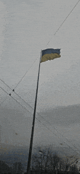 a blue and yellow flag on a pole with a cloudy sky in the background