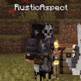 a screenshot of a video game with the name rustic aspect on it