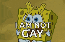 a cartoon of spongebob saying `` i am not gay '' .