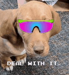 Miles Deal GIF - Miles Deal GIFs