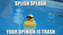 Splish Splash GIF - Splish Splash Your Opinion Is Trash GIFs