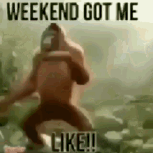 maxnewby maxwell weekend got me like monkey dance