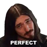 a man with long hair and a beard has the word perfect below him