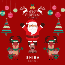 Shiba Capital Merry Christmas GIF - Shiba Capital Merry Christmas Christmas GIFs