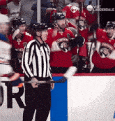 a referee stands in front of a group of panthers hockey players
