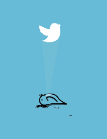 Twitter Bird Animation GIFs | Tenor
