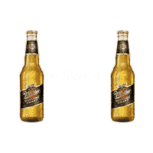 miller chile