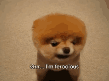 I'M So Scary! :3 GIF - Boo Boothedog Animals GIFs