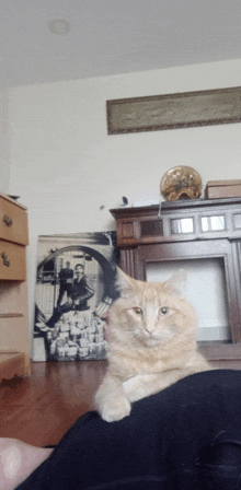 a cat is laying on a person 's lap in front of a painting