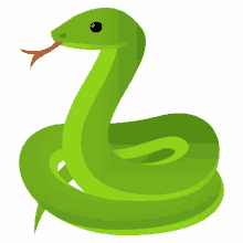 snake nature