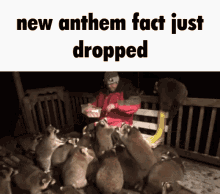 Anthem Anthem Facts GIF