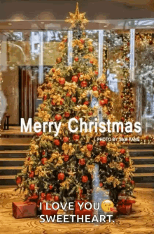 Xmas Merry Christmas And A Happy New Year GIF - Xmas Merry Christmas And A Happy New Year Christmas GIFs