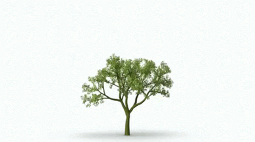 Tree Growing Gif GIFs | Tenor