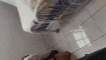 a person is standing on a tiled floor in a room with a ceiling fan .