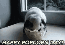 Happy  National Popcorn Day GIF - Popcornday Bunny National Popcorn Day GIFs
