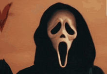 a person wearing a scream mask with a hood on their head .