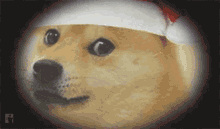 Doge Christmas GIF - Doge Christmas Meme GIFs