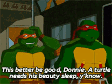 turtles sleepy