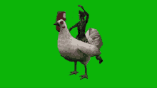 Tlopo Riding Chicken GIF - Tlopo Riding Chicken Come On GIFs