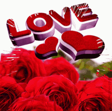 Love Roses GIF - Love Roses Heart GIFs