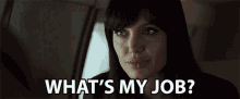 Whats My Job Obligation GIF - Whats My Job Obligation Mission GIFs
