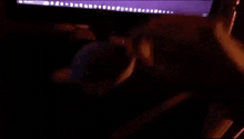 a computer monitor with a purple screen and the word windows on the bottom