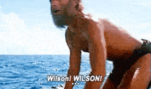 Wilson Castaway GIF