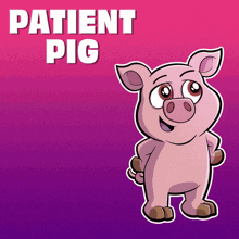 a cartoon pig is standing in front of a purple background that says " patient pig "