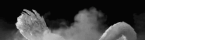 a black and white photo of a swan with smoke coming out of it .
