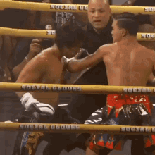faze jarvis vs michael le boxing knockout