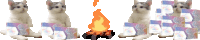 a row of cats are sitting next to a fire