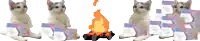 a row of cats are sitting next to a fire
