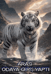 a poster of a white tiger with the words " aras odaya giriş yapti "