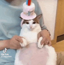 a cat wearing a hat that says happy 1st on it