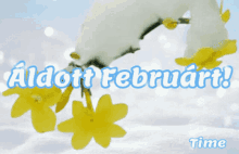Februáraldott Februar GIF - Februáraldott Februar GIFs