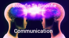 howwahm bloons btd6 bloonfie btdb2