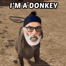 Donkey Asses GIF - Donkey Asses GIFs