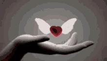 a hand is holding a heart with angel wings .