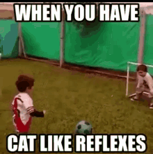 Cat Reflex GIF