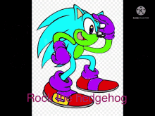 rock the hedgehog s and watch clb sonic blaze