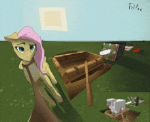a drawing of a pony in a field with felfox written on the bottom