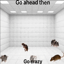 Crazy Rats GIF