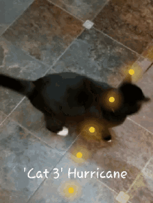 hurricane cat tracking