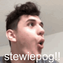 Stewie Pog GIF - Stewie Pog GIFs