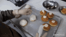 a bunch of donuts are on a tray that says made in animatica on the bottom