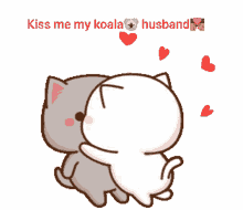 mochi mochi peach cat kiss me my koala cats couple kisses